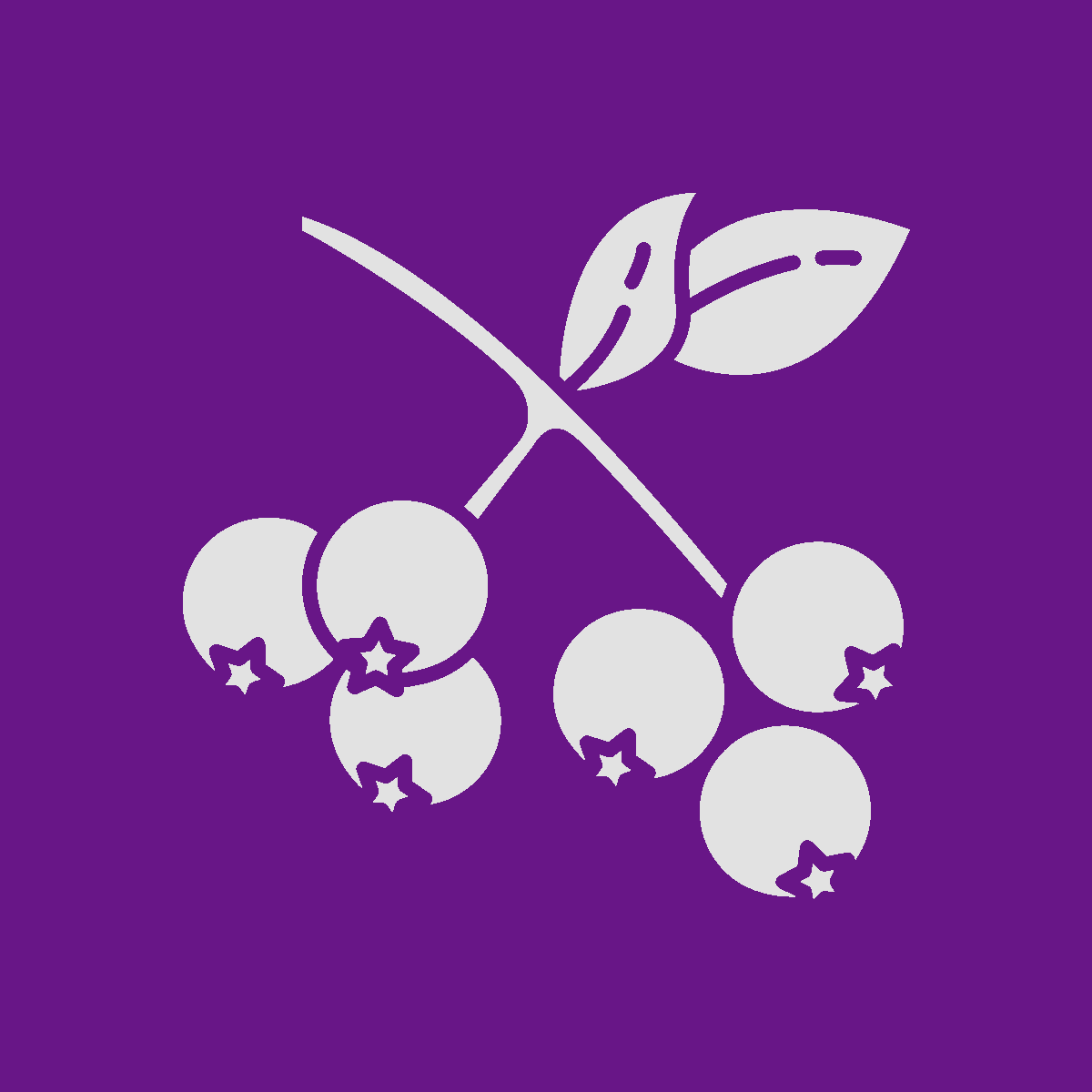 Sweetberry Labs